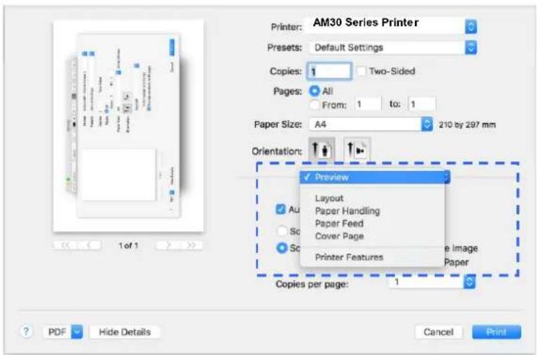 AVISION AM3321w - Choix des options d'impression - 1