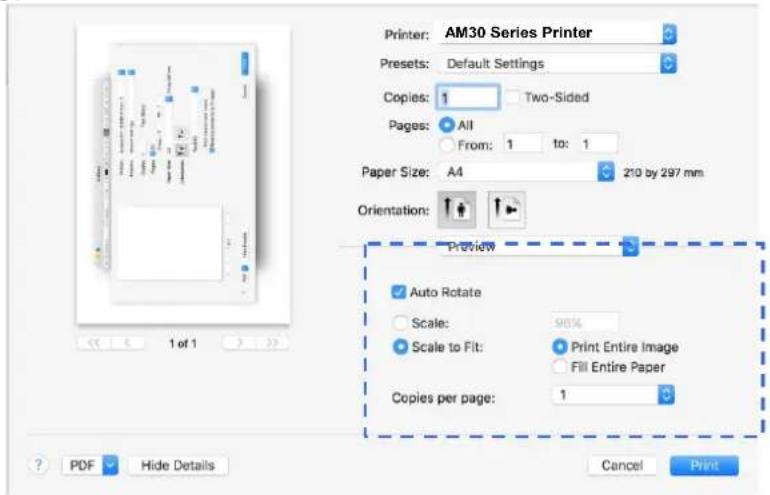 AVISION AM3321w - Choix des options d'impression - 14