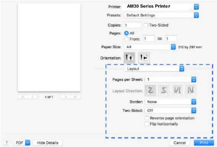 AVISION AM3321w - Choix des options d'impression - 3