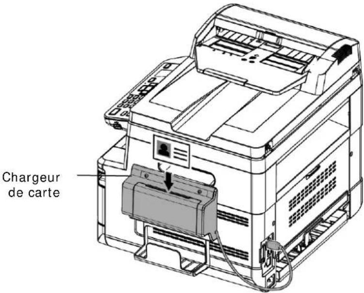 AVISION AM3321w - Copie de carte d'identité : - 1