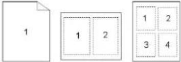 AVISION AM3321w - Choix des options d'impression - 5