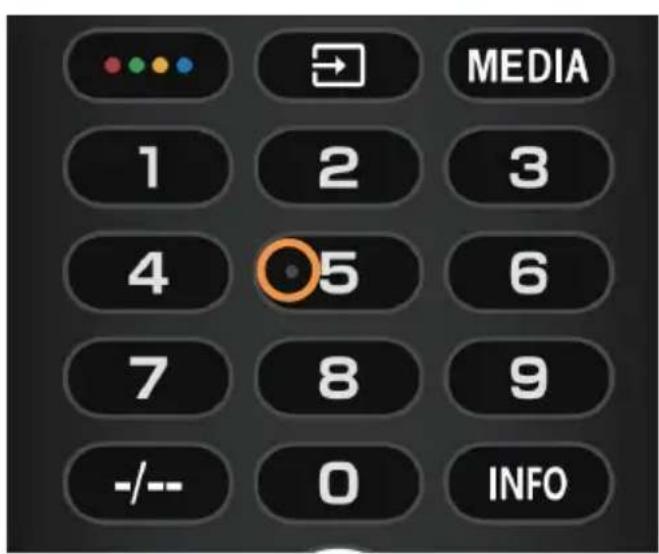 HAIER H100S90FUX - Tactile dots on the remote control buttons - 1