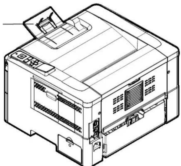 AVISION AP240QN - 安裝接紙器 - 1