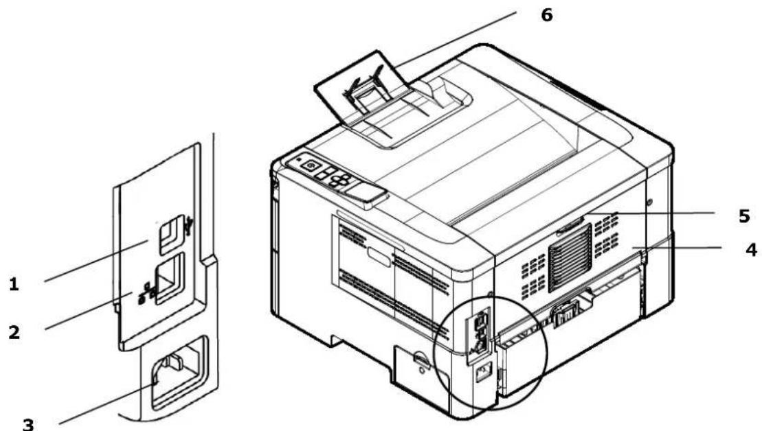 AVISION AP240QN - 外觀 - 2