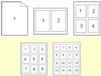 AVISION AM4032iw - Layout - 1
