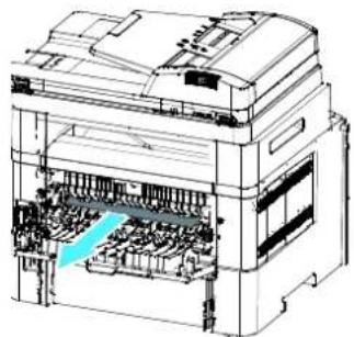 AVISION AM240QDW Plus - Locations of the Jammed Paper (Endroits susceptibles de bourrage de papier) - 8
