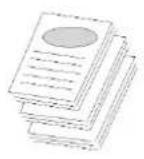 AVISION AM240QDW Plus - Paramètres de copie - 1