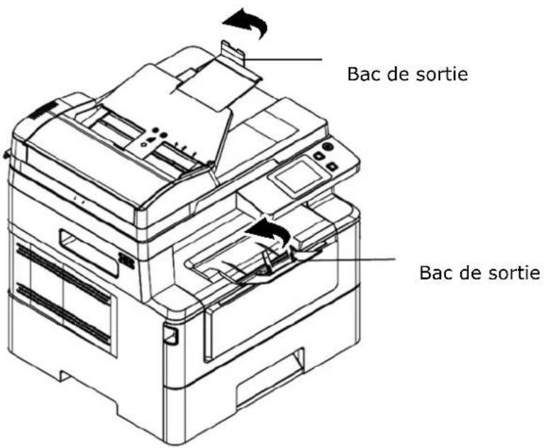 AVISION AM240QDW Plus - Installation du bac de sortie - 1