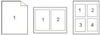 AVISION AM240QDW Plus - L'onglet Mise en page - 2