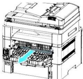 AVISION AM240AW Plus - Locations of the Jammed Paper (Endroits susceptibles de bourrage de papier) - 8