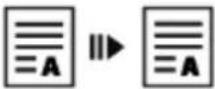 AVISION AM240AW Plus - Output Format (Format de sortie) - 2