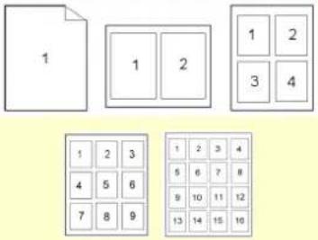 AVISION AM240AW Plus - Layout - 1