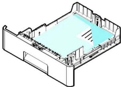 AVISION AM240AW Plus - Pour bac de 250 feuilles - 5