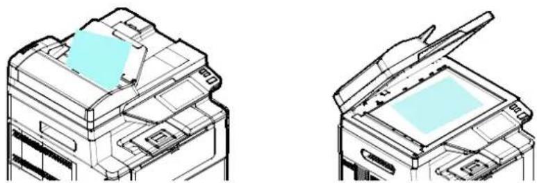 AVISION AM240AW Plus - Positionnement de votre document en toute simplicité - 1