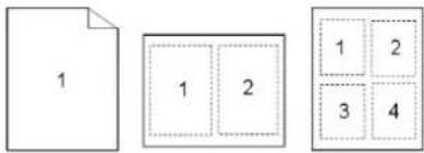 AVISION AM240AW Plus - Layout - 2