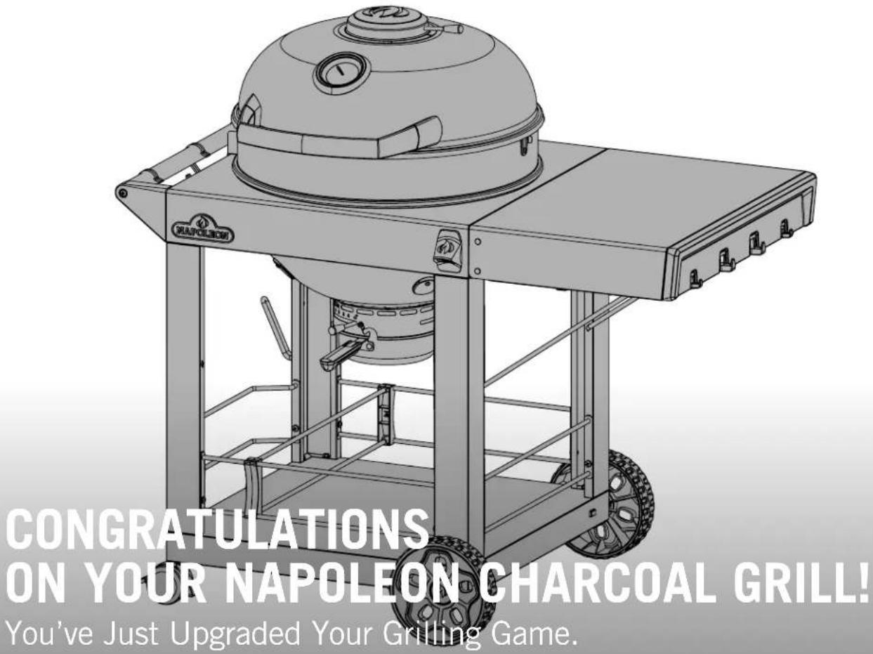 Napoleon PRO22K-CART-3 - 1