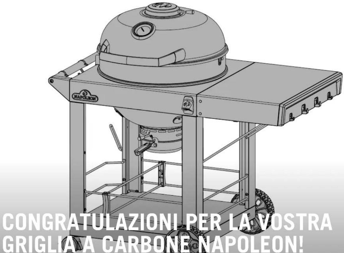 Napoleon PRO22K-CART-3 - 1