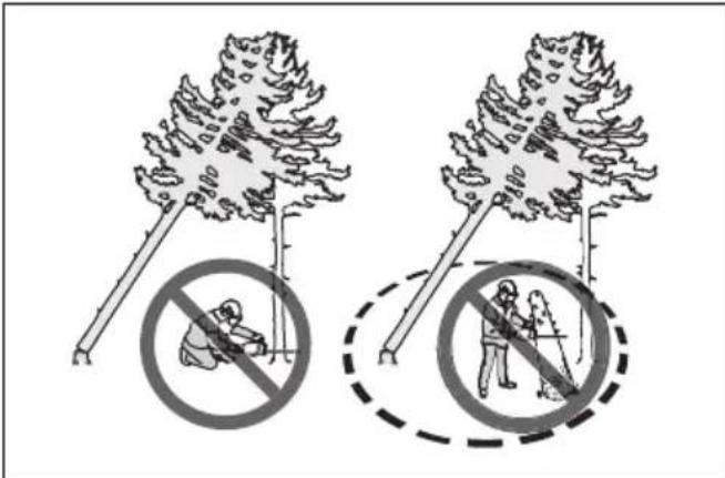 HUSQVARNA 564 XP G - So befrien Sie einen eingeklemmten Baum - 2