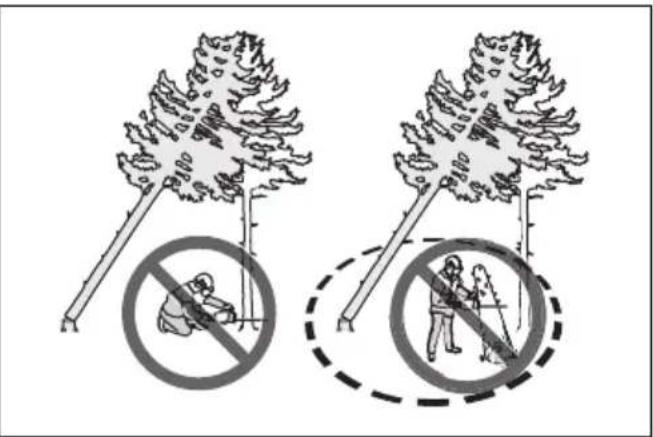 HUSQVARNA 564 XP G - Dégagement d'un arbre bloqué - 2