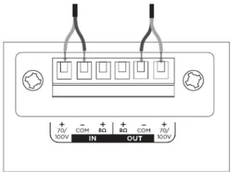 BOSE DesignMax Luna DML88P - Anschlussdiagramme - 1