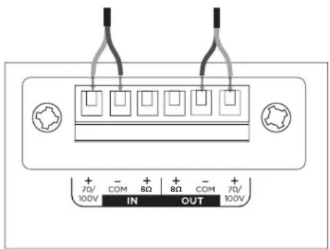 BOSE DesignMax Luna DML88P - Aansluitdiagrammen - 1