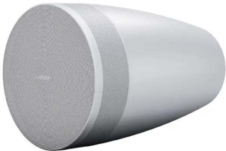 BOSE DesignMax Luna DML88P - 1