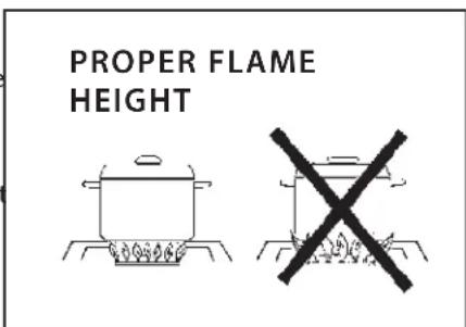 Fisher & Paykel BGC132-BI-N - FLAME HEIGHT - 2