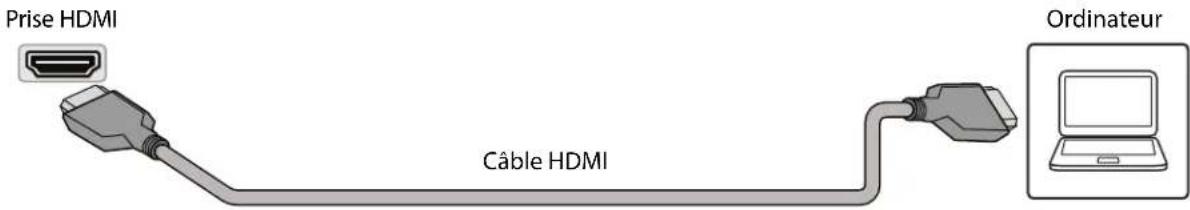 Prise HDMI Câble HDMI Ordinateur