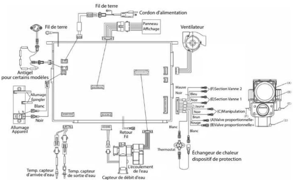 EccoTemp SH22i - CÁBLAGE ÉLECTRIQUE CONNXIONS: - 1