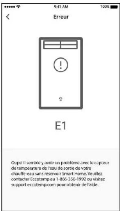 EccoTemp SH22i - Erreur réseau - 2
