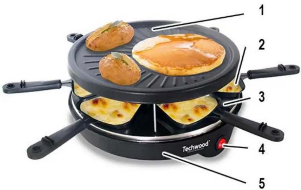 TECHWOOD TRGP-690 - CONNAITRE SON APPAREIL - 1