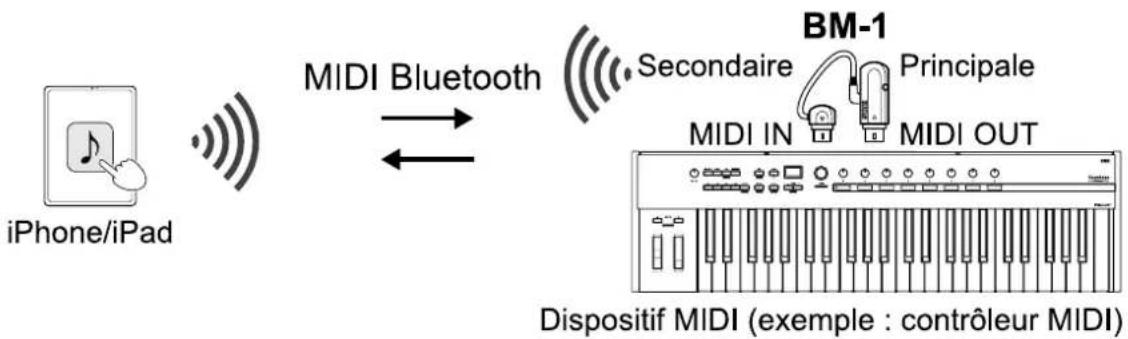 KORG BM-1 - Connexion d'un dispositif MIDI à votre iPhone/iPad - 1