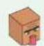 LEGO Minecraft 21273 - 22