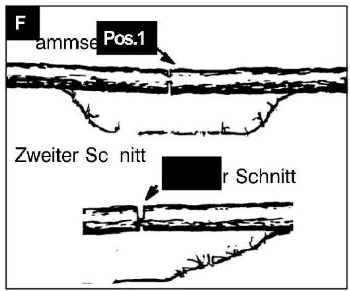 SCHEPPACH CSH58PLUS - 7