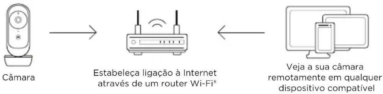MOTOROLA VM45 CONNECT - Requisitos mínimos do sistema - 1