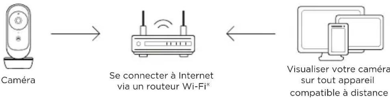 MOTOROLA VM45 CONNECT - Configuration minimale requise - 1