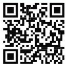LEGO Wicked 75690 - 180 - 281