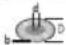 BOSCH GWS18V-11PS Professional - | Nederlands - 2