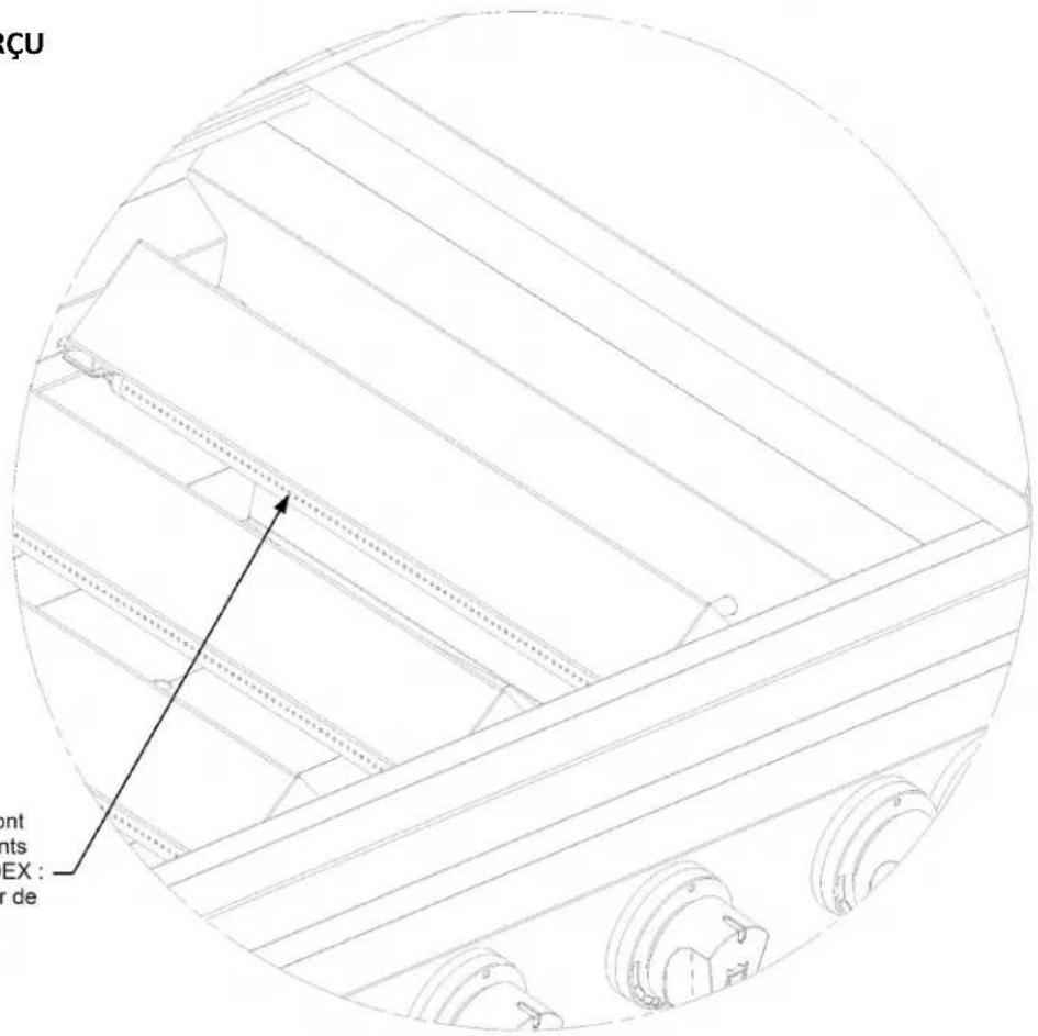 Crown Verity Infinite IBIPBNG - PROCÉDURE MANUELLE D'ALLUMAGE : - 2