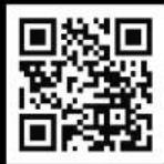LEGO Icons 10358 - YOU COULD WIN - 1
