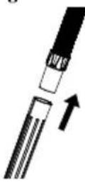 EcoMax EM18191P - INSTALLATION DU FILTRÉ À CARTOUCHE - 7