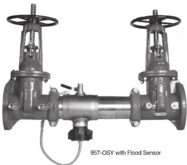 Watts 957-NRS-FS - Testing - 1