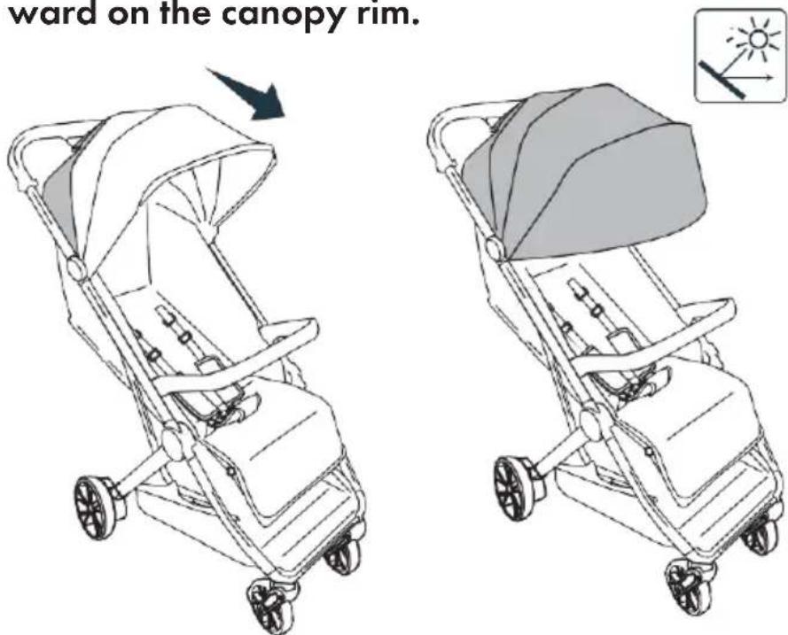 Deryan XP - CANOPY - 1