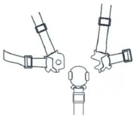 Deryan XP - HARNESS - 1