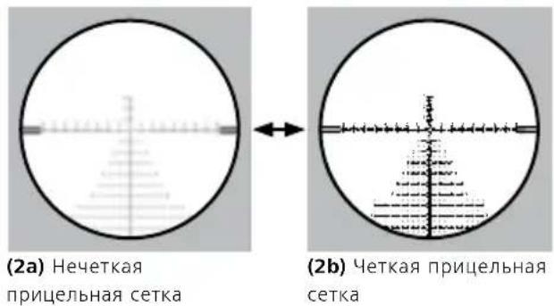 ZEISS LRP S3 6-36x56 - Регулировка резкости прицельной сетки / настройка диоптрий - 1