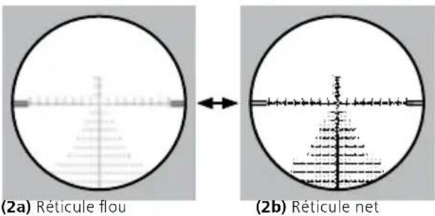 ZEISS LRP S3 4-25x50 - Réglage de la netteté du réticule / réglage dioptrique - 1