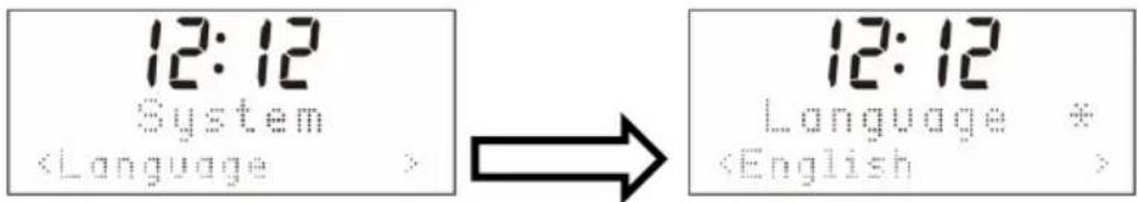 12:12 System (Language > 12:12 Language *