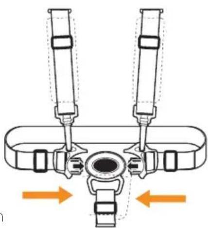 Deryan Evy V2 - Fasten harness - 2