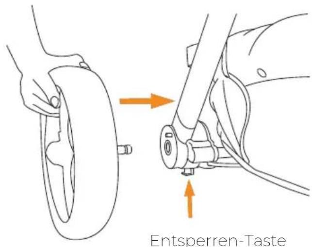 Deryan Evy V2 - Anbringend Vorderrader - 1