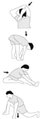 Christopeit Walk Run Pro - Example - stretching exercises for the warm-up and cool-down phases - 1
